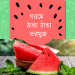 গরমে ঠান্ডা ঠান্ডা তরমুজ