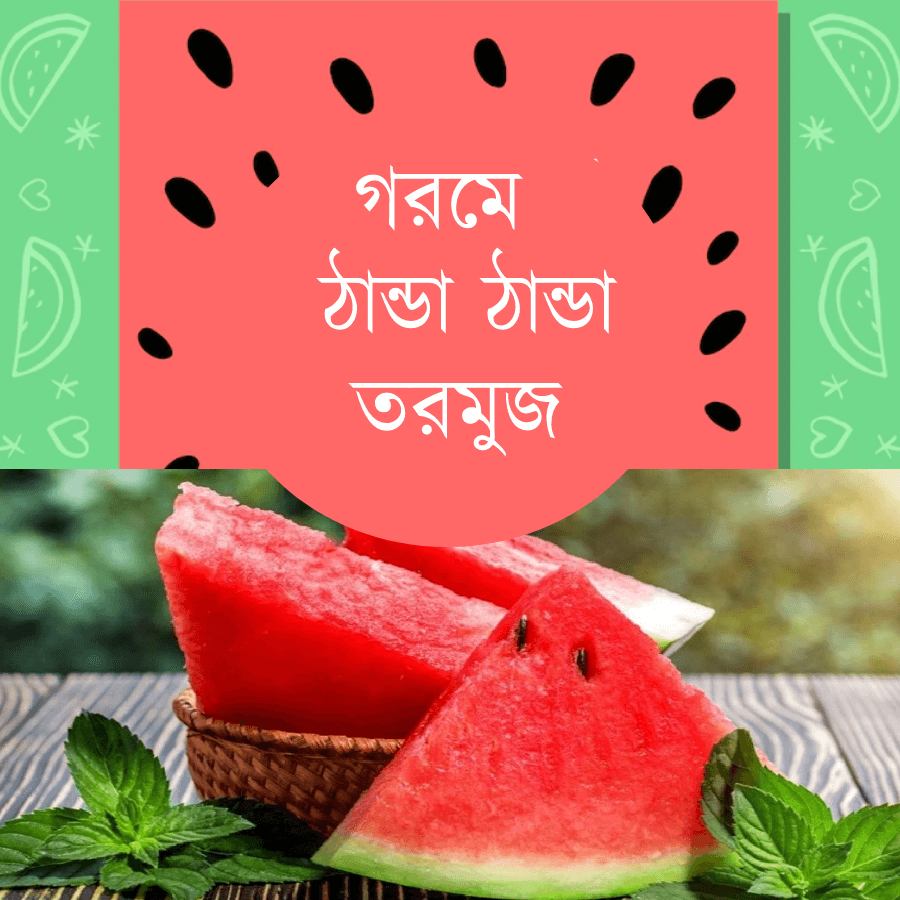 গরমে ঠান্ডা ঠান্ডা তরমুজ