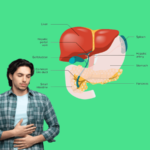 লিভার সতেজ রাখুন সহজেই